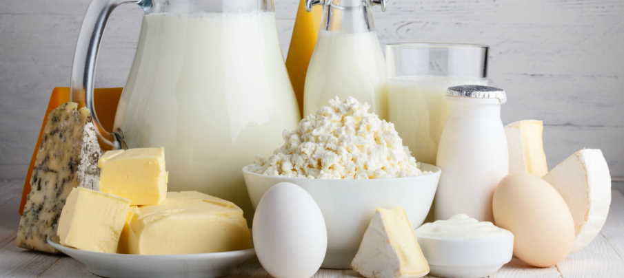 dairy products